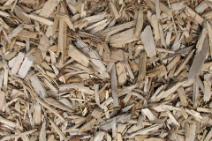 biomass boilers Mumby